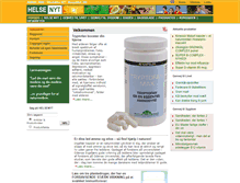 Tablet Screenshot of helsenyt.com